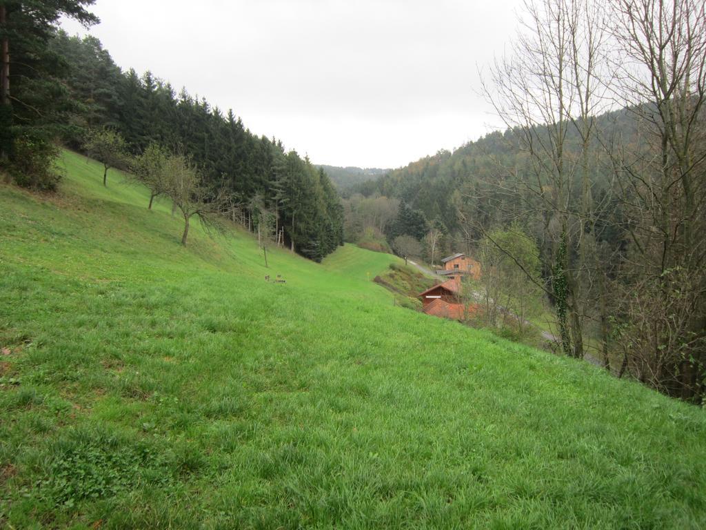 Waldpension Stachl Bromberg Buitenkant foto