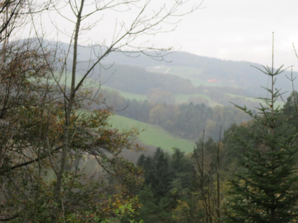 Waldpension Stachl Bromberg Buitenkant foto